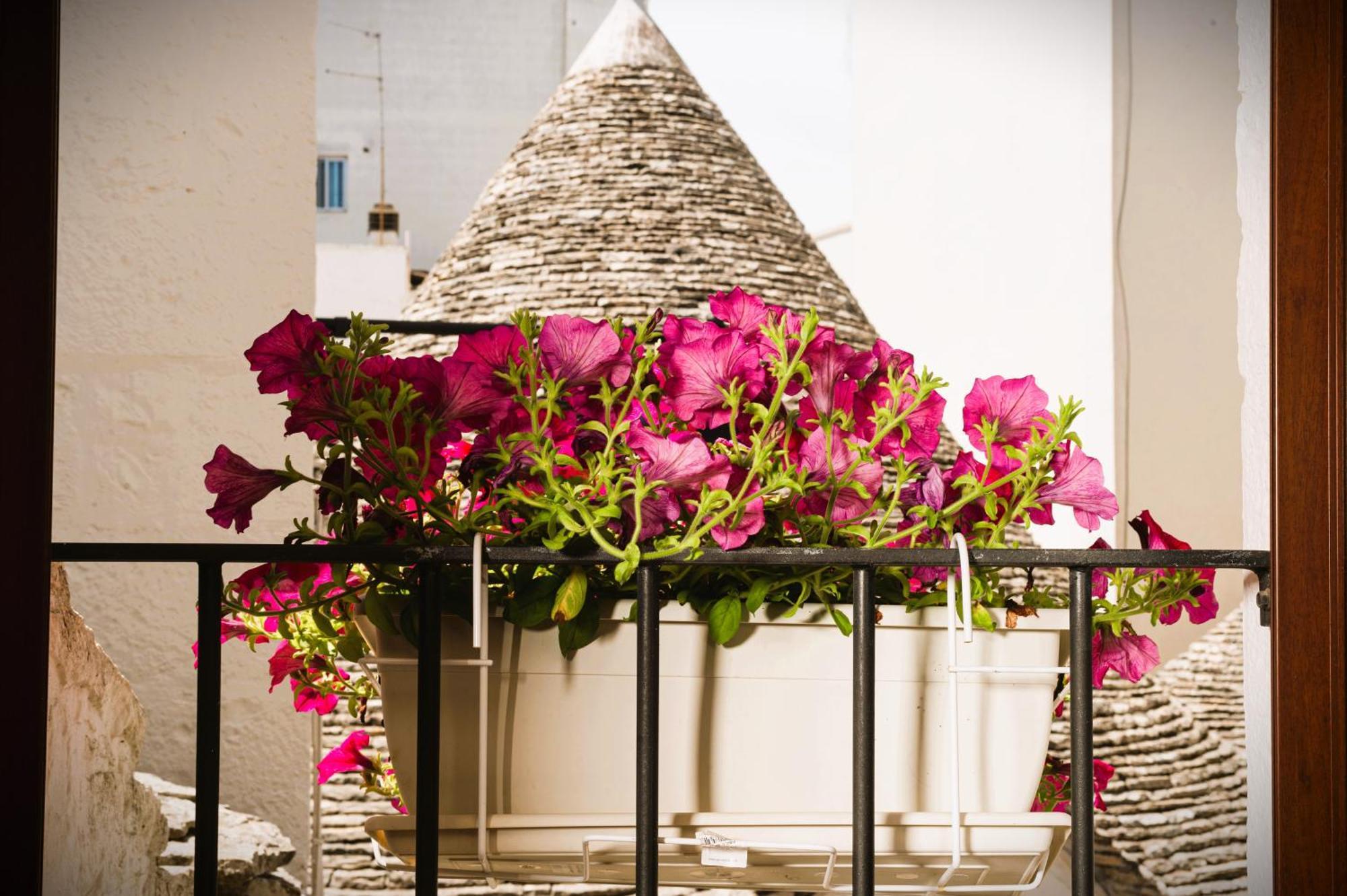 Il Trullo Moore Alberobello Extérieur photo